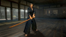 ꡼ No.016Υͥ / ֿβסꥢƤʤɤξ󤬸饤ǤƱCo-opڤ