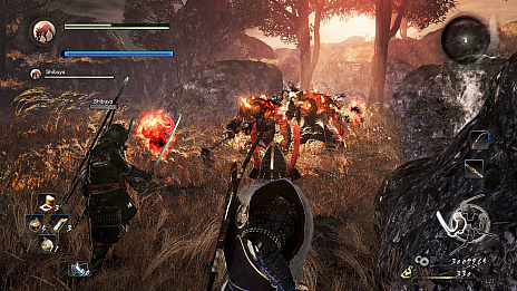 ꡼ No.029Υͥ / ֿβסꥢƤʤɤξ󤬸饤ǤƱCo-opڤ