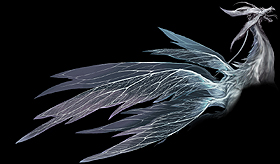 ꡼ No.007Υͥ / Ѥ餺ȴΡȰŤɡPS3DARK SOULSס饹ȡǿ꡼󥷥åȡȥ쥤顼ࡼӡ