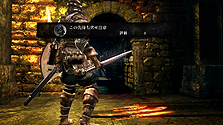 ꡼ No.011Υͥ / Ѥ餺Ų᤮DARK SOULSפκǿ꡼󥷥å15ˡо쥭ץ쥤䡼̿ɬݥȤå٤