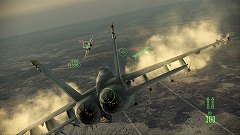 ꡼ No.004Υͥ / ȿΡɤƮإǤͷ٤ACE COMBAT ASSAULT HORIZONץǥθͤݡȡF-4E Phantom IIפΥץ쥤ޤ࿷ȥ쥤顼Ǻ