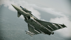 ꡼ No.008Υͥ / ACE COMBAT ASSAULT HORIZONסץ쥤䡼ĤǤ뼫衼åѤεΤ򥹥꡼󥷥åȤǳǧ