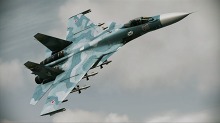 ꡼ No.010Υͥ / ACE COMBAT ASSAULT HORIZONסƮ2ƤˡʤΥƱ顼εΤо