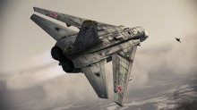 ꡼ No.017Υͥ / ACE COMBAT ASSAULT HORIZONסƮ2ƤˡʤΥƱ顼εΤо