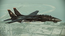 ꡼ No.036Υͥ / ACE COMBAT ASSAULT HORIZONסƮ2ƤˡʤΥƱ顼εΤо