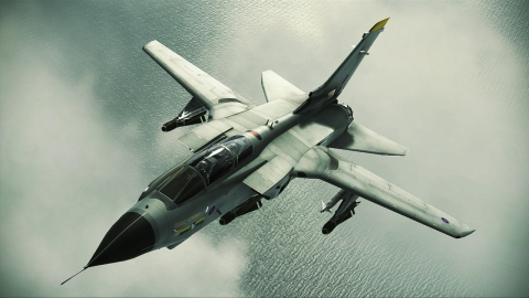 ꡼ No.021Υͥ / ACE COMBAT AHסDLC4Ƥо졣F-15S/MTDʤɤοΤɲ