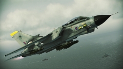 ꡼ No.022Υͥ / ACE COMBAT AHסDLC4Ƥо졣F-15S/MTDʤɤοΤɲ