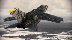 ꡼ No.038Υͥ / ACE COMBAT AHסDLC4Ƥо졣F-15S/MTDʤɤοΤɲ