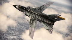 ꡼ No.039Υͥ / ACE COMBAT AHסDLC4Ƥо졣F-15S/MTDʤɤοΤɲ