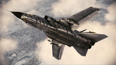 ꡼ No.040Υͥ / ACE COMBAT AHסDLC4Ƥо졣F-15S/MTDʤɤοΤɲ