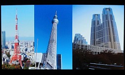 ꡼ No.016Υͥ / ϿޥǡȤ˼ºԻԤư֥Хåȥȡۥ饤פΥꥢԻԤϤƺ줿