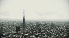 ꡼ No.004Υͥ / ACE COMBAT AHסDLC6Ƥо졣ɲåޥåסס֥ۥΥפʤ