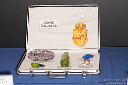 画像ギャラリー No.273のサムネイル画像 / 「ファンタシースター感謝祭2019」決勝会場フォトレポート。コスプレコンテストやミニライブを中心に会場の様子を紹介