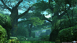 ꡼ No.002Υͥ / PSO2סDirectX 11бեå󥸥ǥ̤ϤɤѤäΤPSO2NGS׻ͤˤʤä饯Ҳ