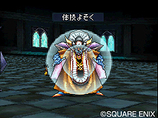 ���������꡼ No.022�Υ���ͥ������ / NDS�֥ɥ饴�󥯥����ȥ�󥹥����� ���硼����2 �ץ��ե��å���ʥ�׺ǿ�����DQ���꡼�����ʤ���͵��Υ�󥹥������ɲá���ǽ�������˶�����