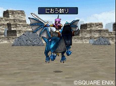 ���������꡼ No.010�Υ���ͥ������ / �֥ɥ饴�󥯥����ȥ�󥹥����� ���硼����2 �ץ��ե��å���ʥ�ס���������������õ��������ʤɥХȥ��Ϣ�ο����Ǥ�¿������