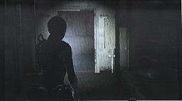 ꡼ No.007Υͥ / BIOHAZARD THE MERCENARIES 3Dפμµǥץ쥤줿3DSѡBIOHAZARDץ꡼ڥ륹ơݡ