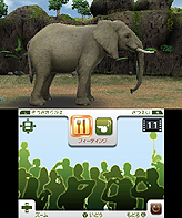 画像ギャラリー No.004のサムネイル画像 / マーベラス,3DS専用動物園ライフゲームの正式タイトルを「アニマルリゾート 動物園をつくろう!!」に決定。“動物達とのコミュニケーション”要素とは?