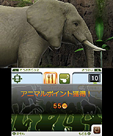 画像ギャラリー No.005のサムネイル画像 / マーベラス,3DS専用動物園ライフゲームの正式タイトルを「アニマルリゾート 動物園をつくろう!!」に決定。“動物達とのコミュニケーション”要素とは?