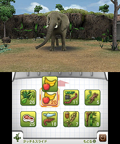 画像ギャラリー No.006のサムネイル画像 / マーベラス,3DS専用動物園ライフゲームの正式タイトルを「アニマルリゾート 動物園をつくろう!!」に決定。“動物達とのコミュニケーション”要素とは?