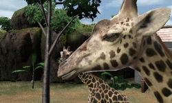 画像ギャラリー No.001のサムネイル画像 / 「アニマルリゾート 動物園をつくろう!!」公式サイトにデモムービーが追加