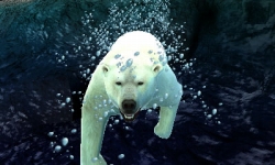 画像ギャラリー No.004のサムネイル画像 / 「アニマルリゾート 動物園をつくろう!!」公式サイトにデモムービーが追加