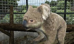 画像ギャラリー No.003のサムネイル画像 / 「アニマルリゾート 動物園をつくろう!!」は5月19日に発売予定。公式サイトがリニューアルし,動物達が大きく描かれたデザインに