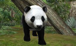 画像ギャラリー No.004のサムネイル画像 / 「アニマルリゾート 動物園をつくろう!!」は5月19日に発売予定。公式サイトがリニューアルし,動物達が大きく描かれたデザインに