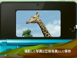画像ギャラリー No.006のサムネイル画像 / 「アニマルリゾート 動物園を作ろう!!」ゲームの基本要素を紹介するプロモーションムービーが公式サイトで公開に。東武動物公園とのコラボも