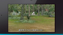 画像ギャラリー No.001のサムネイル画像 / 「アニマルリゾート」,テレビCM&PVを公式サイトにて公開