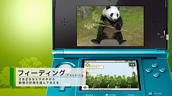 画像ギャラリー No.002のサムネイル画像 / 「アニマルリゾート」,テレビCM&PVを公式サイトにて公開