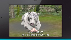 画像ギャラリー No.003のサムネイル画像 / 「アニマルリゾート」,テレビCM&PVを公式サイトにて公開