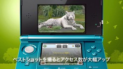 画像ギャラリー No.005のサムネイル画像 / 「アニマルリゾート」,テレビCM&PVを公式サイトにて公開