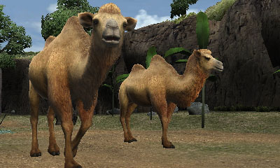 画像ギャラリー No.005のサムネイル画像 / 「アニマルリゾート」,東武動物公園のチケットなどが当たるクイズキャンペーン