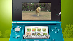 画像ギャラリー No.011のサムネイル画像 / 東武動物公園の飼育係が「アニマルリゾート」に挑戦,3本の映像が公開に