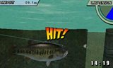 ꡼ No.015Υͥ / ǥꥢХեå󥰥FISH ONפ69ȯ䡣ΤӤįվޥ⡼ɤ