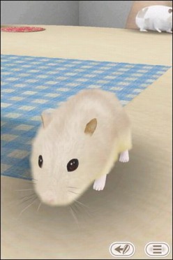 ꡼ No.003Υͥ / iPhoneiPadѥڥåȥߥ˥HamTouch!פָò