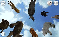 ꡼ No.003Υͥ / 3Dǥꥢ˺Ƹ줿ưʪڤREAL ANIMALS HDȯ