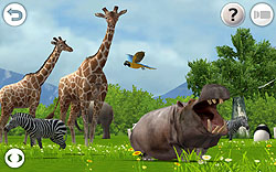 ꡼ No.004Υͥ / 3Dǥꥢ˺Ƹ줿ưʪڤREAL ANIMALS HDȯ