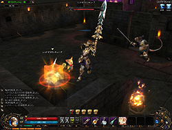 ꡼ No.015Υͥ / Ĥ˥ץ¥ƥȤȡꥪ£Ȥ⤦ǮãɤΤMMORPG֥ꥢץץ쥤ݡ