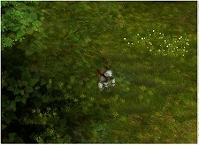 画像ギャラリー No.014のサムネイル画像 / 「アスタリア」5月25日の大型アップデート「開戦の序」第1弾で実装される新マップが公開に。その紹介ムービーやスクリーンショットを4GamerにUp