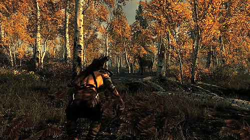 ꡼ No.005Υͥ / ĤˡThe Elder Scroll V: SkyrimפΥץ쥤ɥ饴1ܤǻαDragonbornפκ