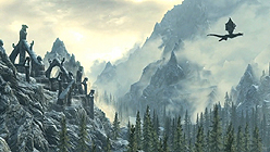 ꡼ No.007Υͥ / ĤˡThe Elder Scroll V: SkyrimפΥץ쥤ɥ饴1ܤǻαDragonbornפκ