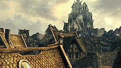 ꡼ No.009Υͥ / ĤˡThe Elder Scroll V: SkyrimפΥץ쥤ɥ饴1ܤǻαDragonbornפκ