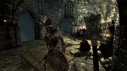 ꡼ No.019Υͥ / [E3 2011ϡThe Elder Scrolls VSkyrimפΥ饤֥ǥ⤬E3Ǹޥ⥹Τ⤯Whiterunιǥɥ饴ȻƮ