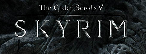 ꡼ No.003Υͥ / The Elder Scrolls V: SkyrimפȯBethesda SoftworksΥѡ˥󥿥ӥ塼ǽȥ㥦ȡɤӤ˹碌3ʳĴǽ