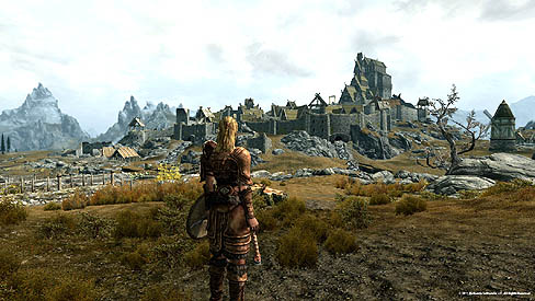 ꡼ No.006Υͥ / The Elder Scrolls V: SkyrimפȯBethesda SoftworksΥѡ˥󥿥ӥ塼ǽȥ㥦ȡɤӤ˹碌3ʳĴǽ