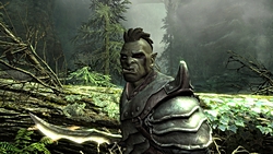 ꡼ No.013Υͥ / GamescomϡThe Elder Scrolls V: SkyrimפΥץ쥹ե󥹤šͳ٤ι⤤饯ᥤ󥰤ȡ椬о