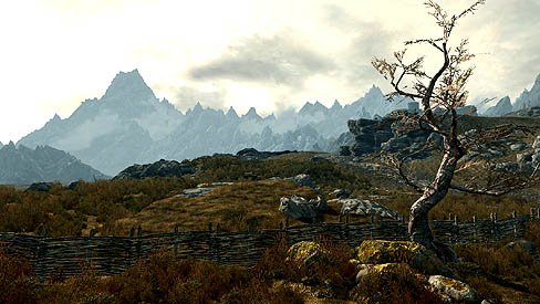 ꡼ No.004Υͥ / The Elder Scrolls V: SkyrimפΥǽǤǿࡼӡʼȤǺ줿SkyrimȤ