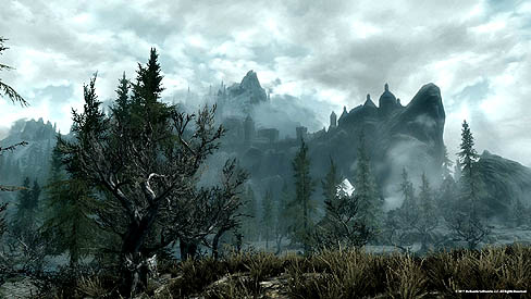 ꡼ No.001Υͥ / PCǡThe Elder Scrolls V: Skyrimפ4 ոPCեפ˽ŸNVIDIA̶ϤǡåʴĶǤΥץ쥤ǽǤ